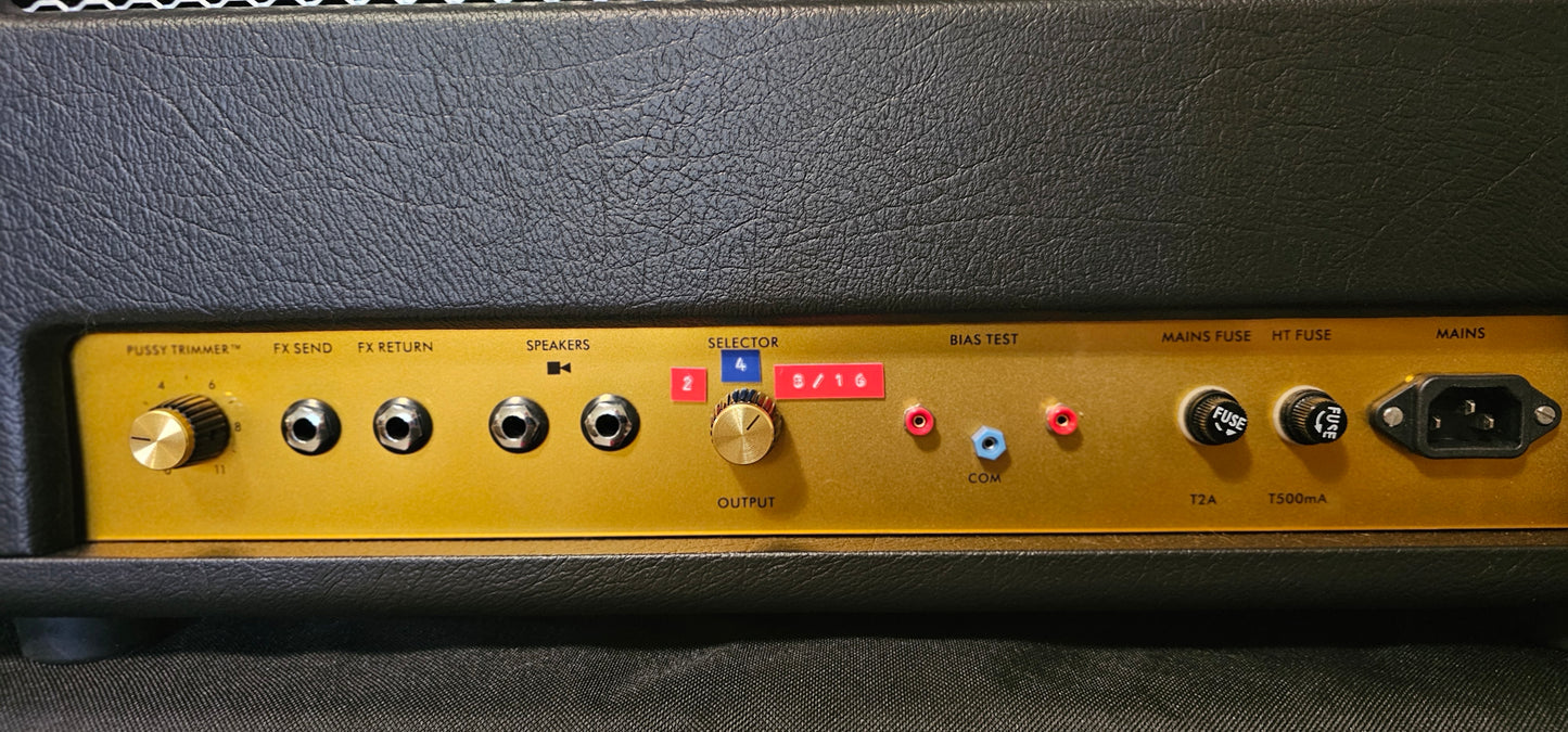 Yeti 50 watt Amp Head